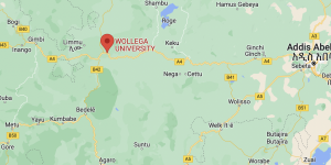 L'Area di Qelem Welega dove si sono registrate le uccisioni di contadini di etnia ahmara