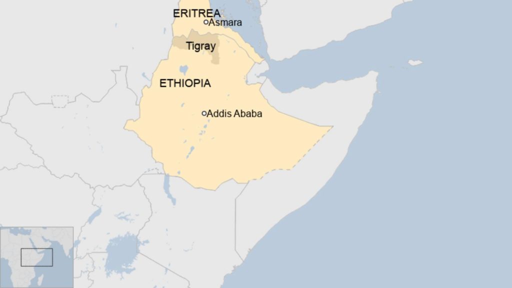 Eritrea ed Etiopia. La guerra comune contro il Tigray