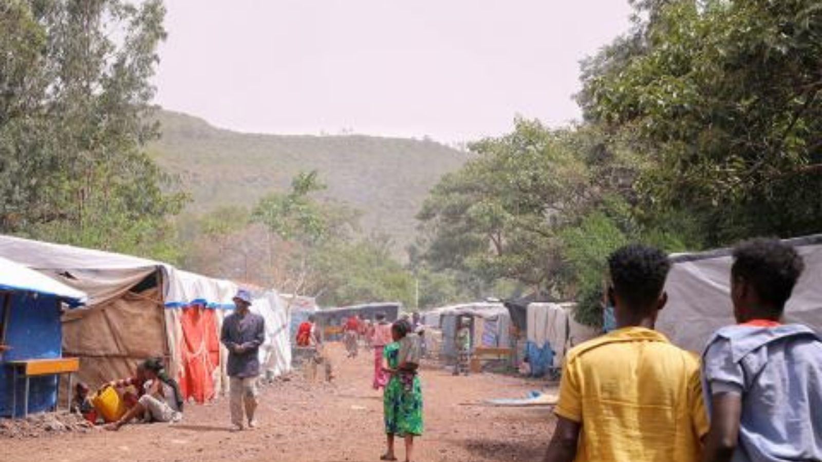 Una scuola trasformata in un sito per sfollati a Shire, nella regione del Tigray in Etiopia, ospita migliaia di sfollati interni. Foto: IOM/Kaye Viray